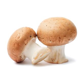 Дополнительная добавка Грибы